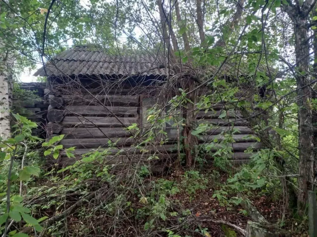 Участок, 5.9 сот., поселения (ижс) - Фото 2