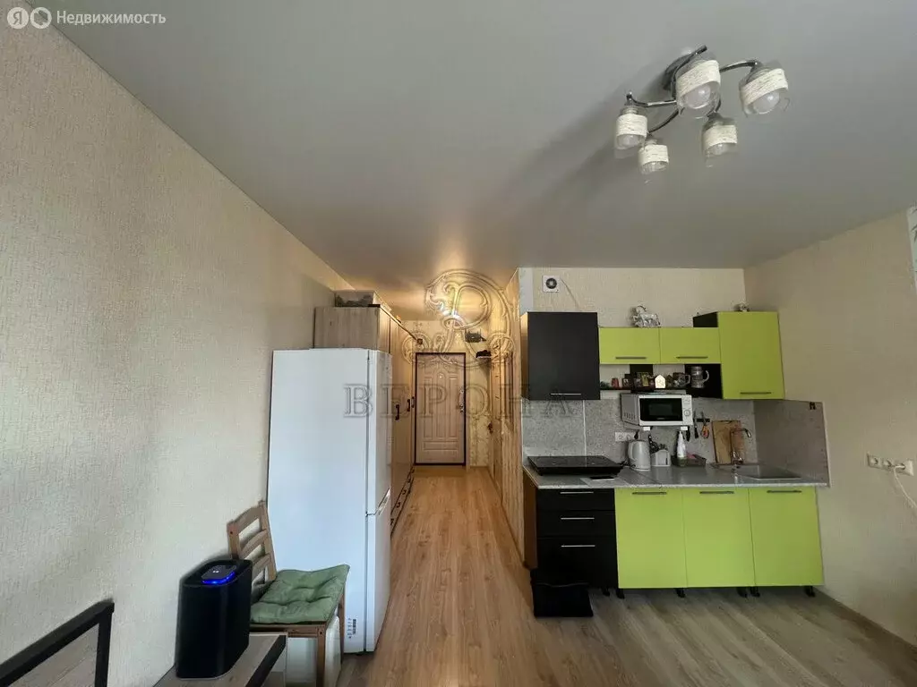 Квартира-студия: Ногинск, улица Дмитрия Михайлова, 3 (27.4 м) - Фото 1