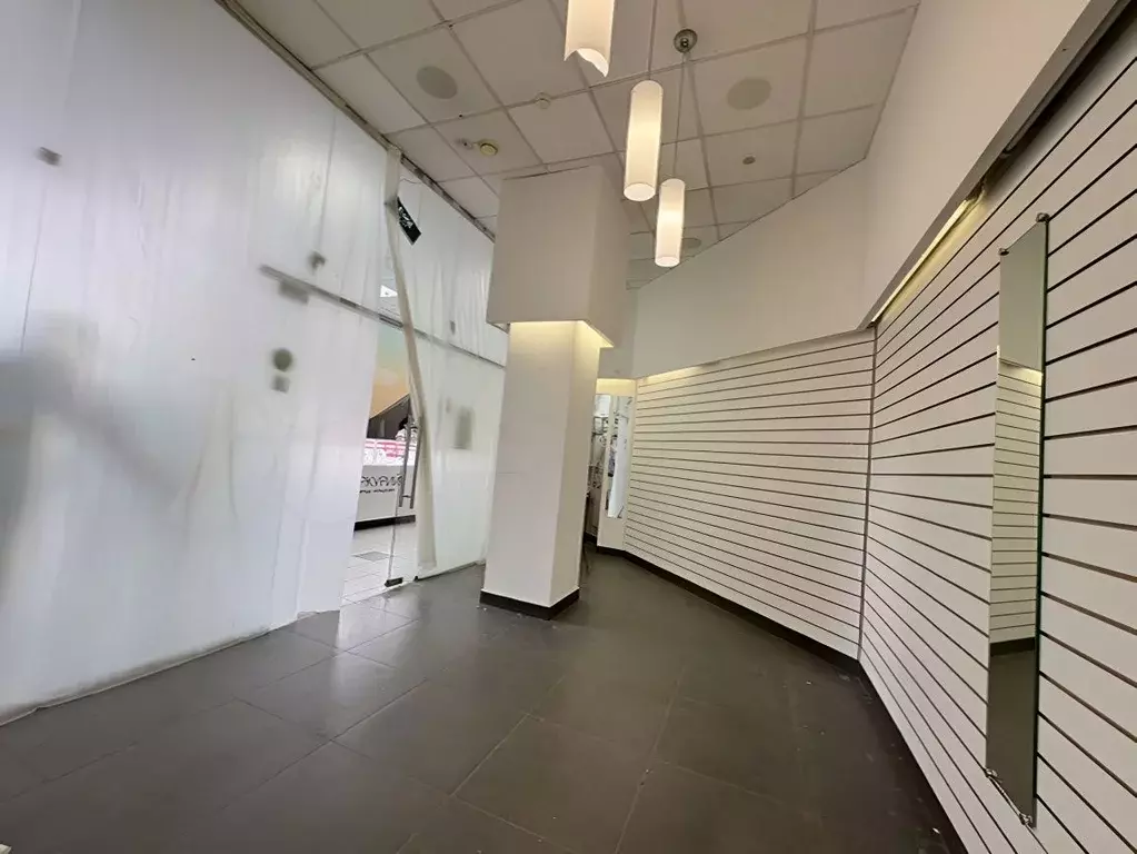 Помещение свободного назначения в Москва Алтуфьевское ш., 86К1 (20 м) - Фото 2