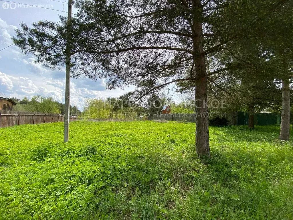 Участок в деревня Новая (24 м) - Фото 1