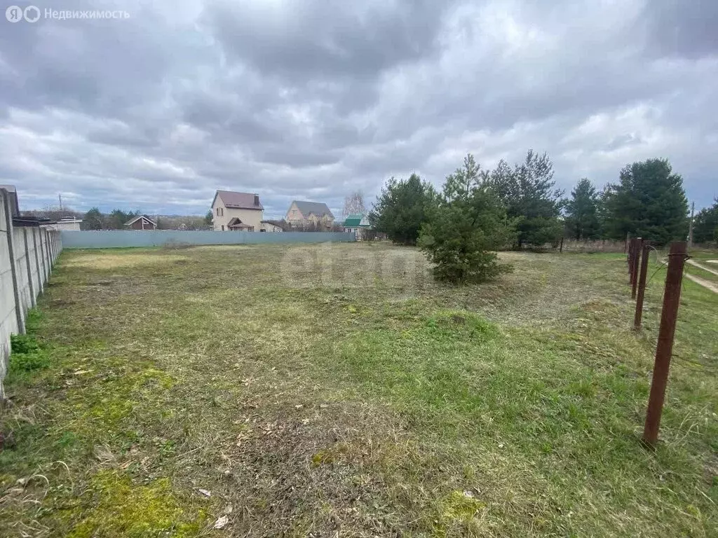 Участок в Рамонский район, Новоживотинновское сельское поселение, СНТ ... - Фото 2