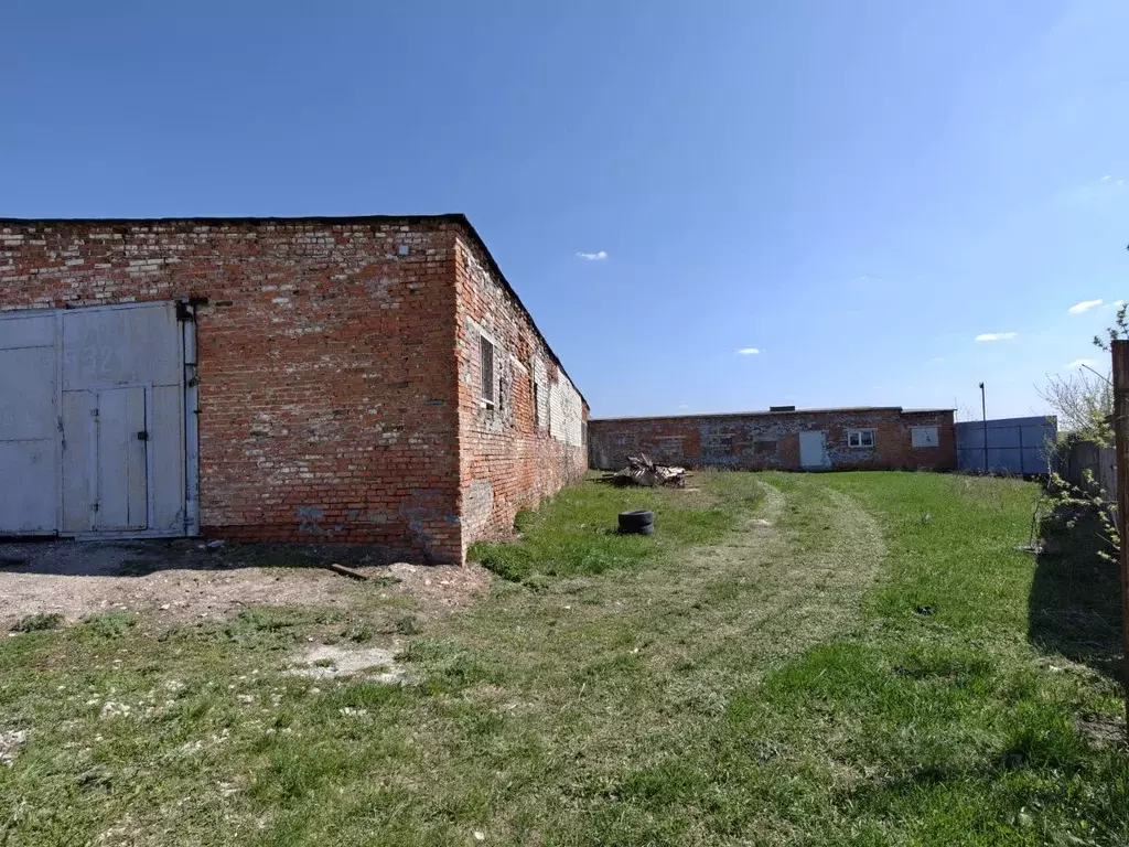 Помещение свободного назначения в Курская область, Курский район, ... - Фото 1