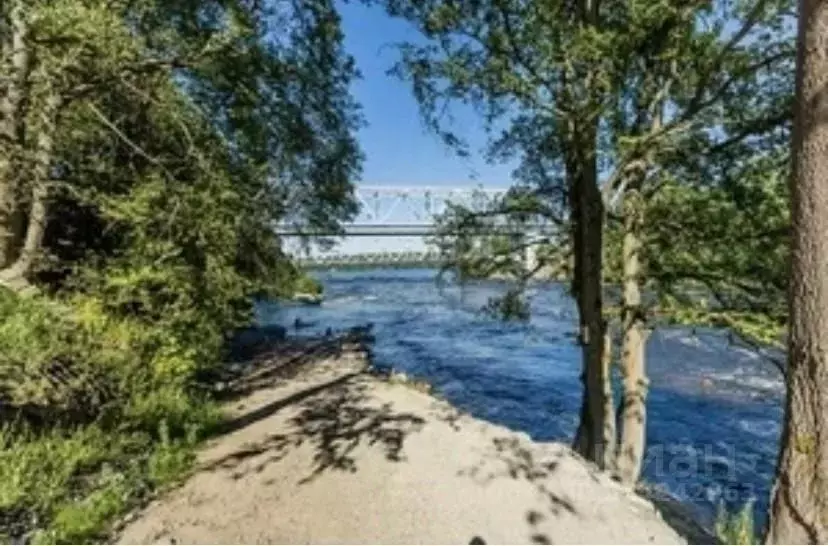 Участок в Ленинградская область, Приозерский район, Ромашкинское ... - Фото 1