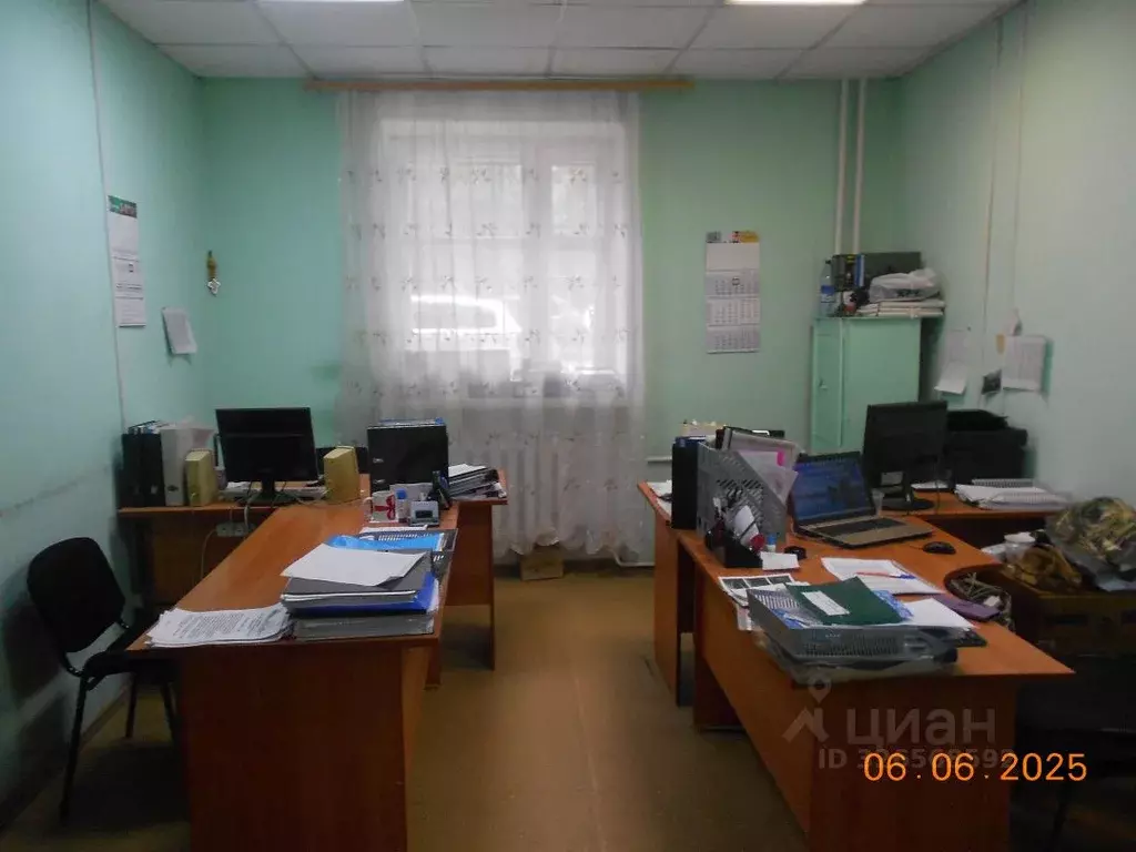 Помещение свободного назначения в Новосибирская область, Новосибирск ... - Фото 2