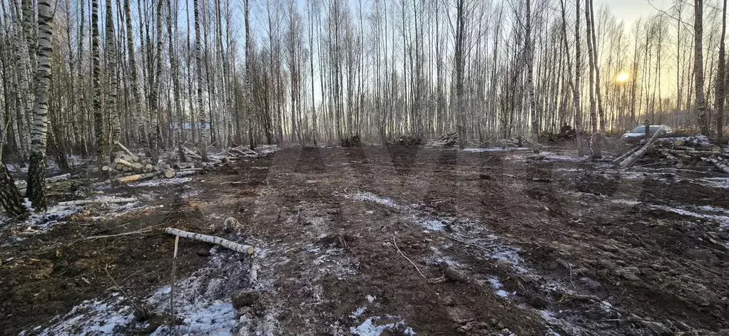 Участок 9,5 сот. (ИЖС) - Фото 1