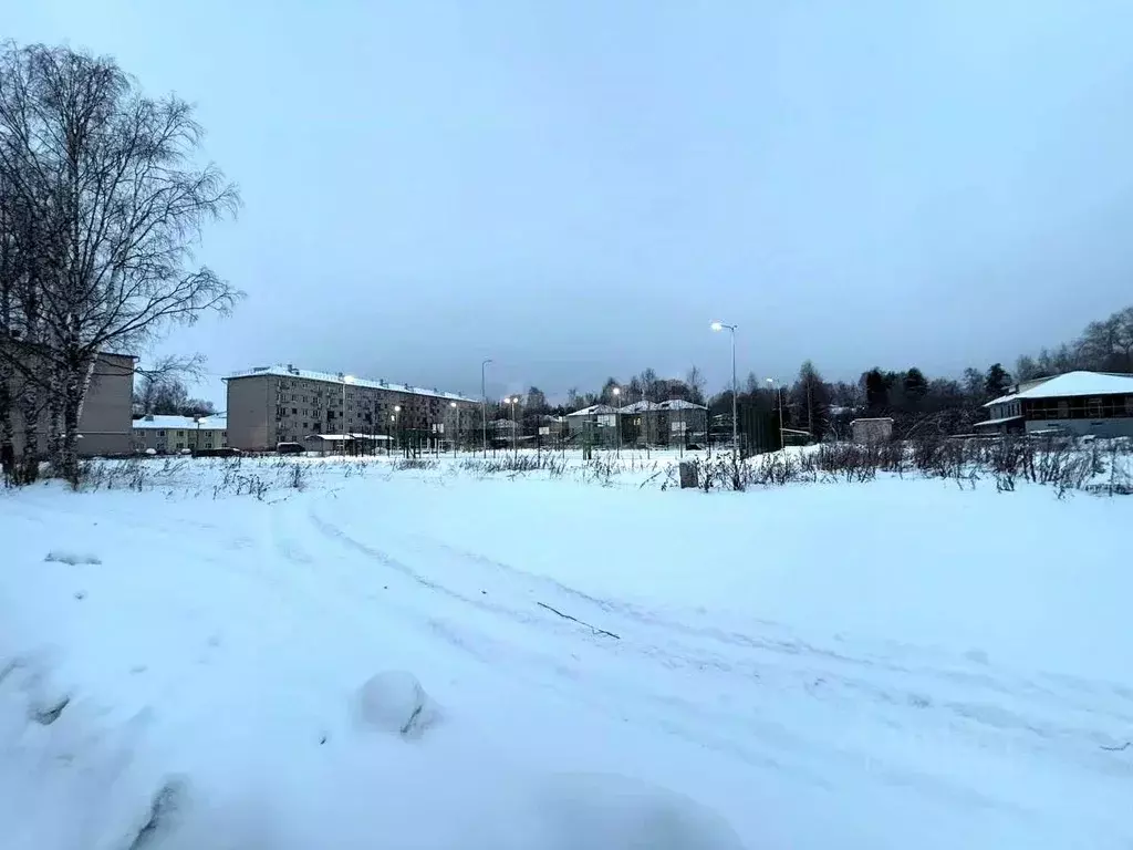 Участок в Вологодская область, Великоустюгский муниципальный округ, ... - Фото 1