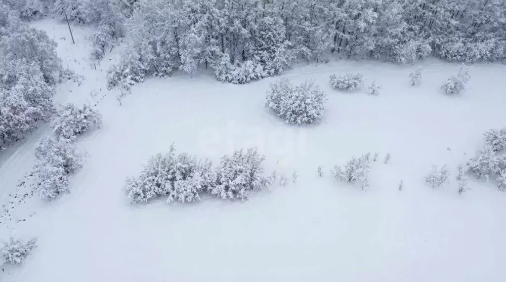 Участок в Камчатский край, Елизовский муниципальный округ, Рыбак СНТ  ... - Фото 2