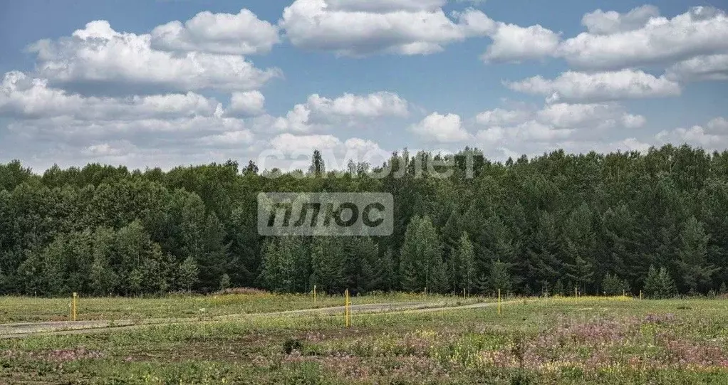 Участок в Калининградская область, Зеленоградский муниципальный округ, ... - Фото 0