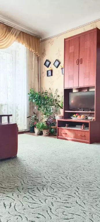 3-к кв. Новосибирская область, Новосибирск ул. Вокзальная магистраль, ... - Фото 2