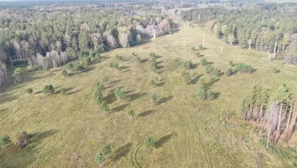 Участок в Новосибирская область, Ордынский район, с. Кирза  (12.0 ... - Фото 0