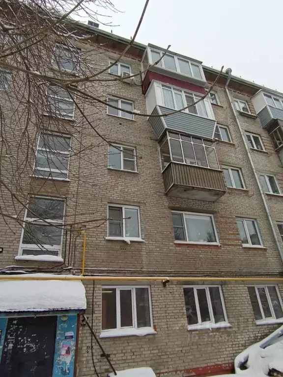 3-к кв. Алтайский край, Барнаул ул. Антона Петрова, 124 (57.0 м) - Фото 2