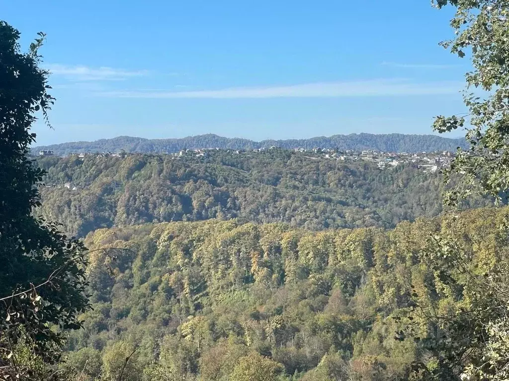 Участок в Краснодарский край, Сочи городской округ, с. Русская Мамайка ... - Фото 1