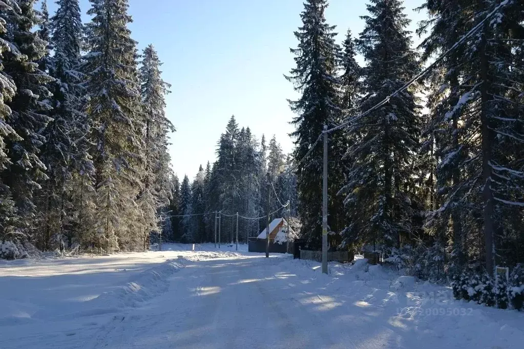 Участок в Ленинградская область, Выборгский район, Рощинское городское ... - Фото 1