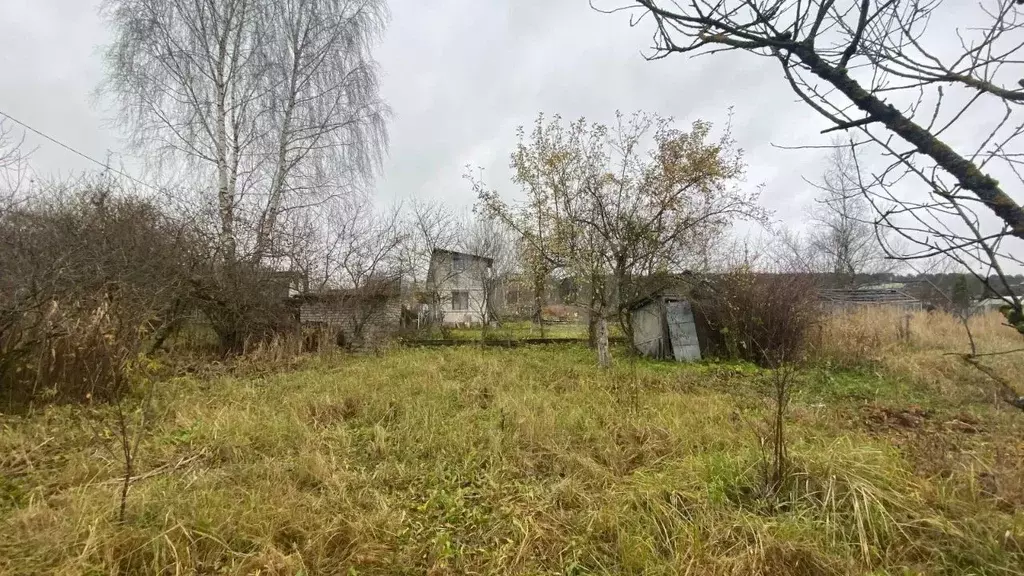 Участок в Брянская область, Фокино Строитель-2 садовые участки,  (9.0 ... - Фото 1