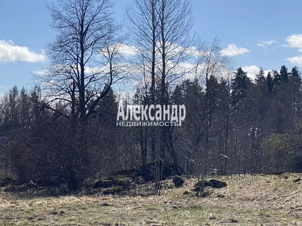 Участок в Ленинградская область, Приозерский район, Мельниковское ... - Фото 1