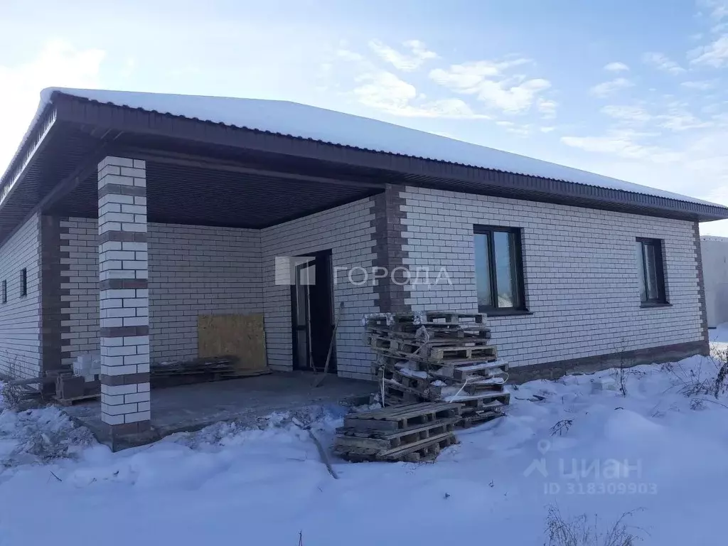 Дом в Алтайский край, Барнаул городской округ, пос. Черницк ул. ... - Фото 1