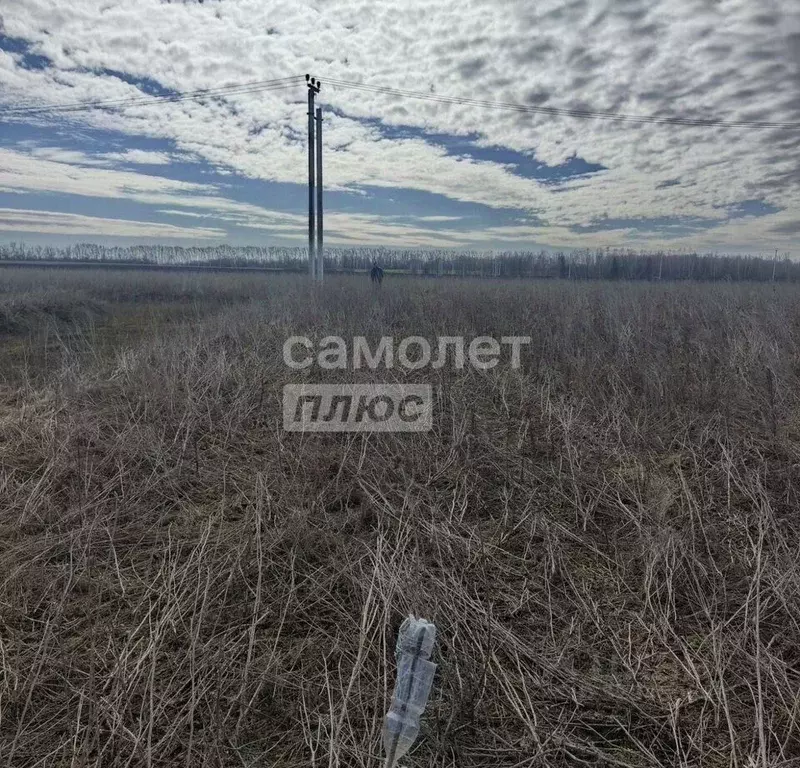 Участок в Липецкая область, Липецкий муниципальный округ, с. Ленино  ... - Фото 1