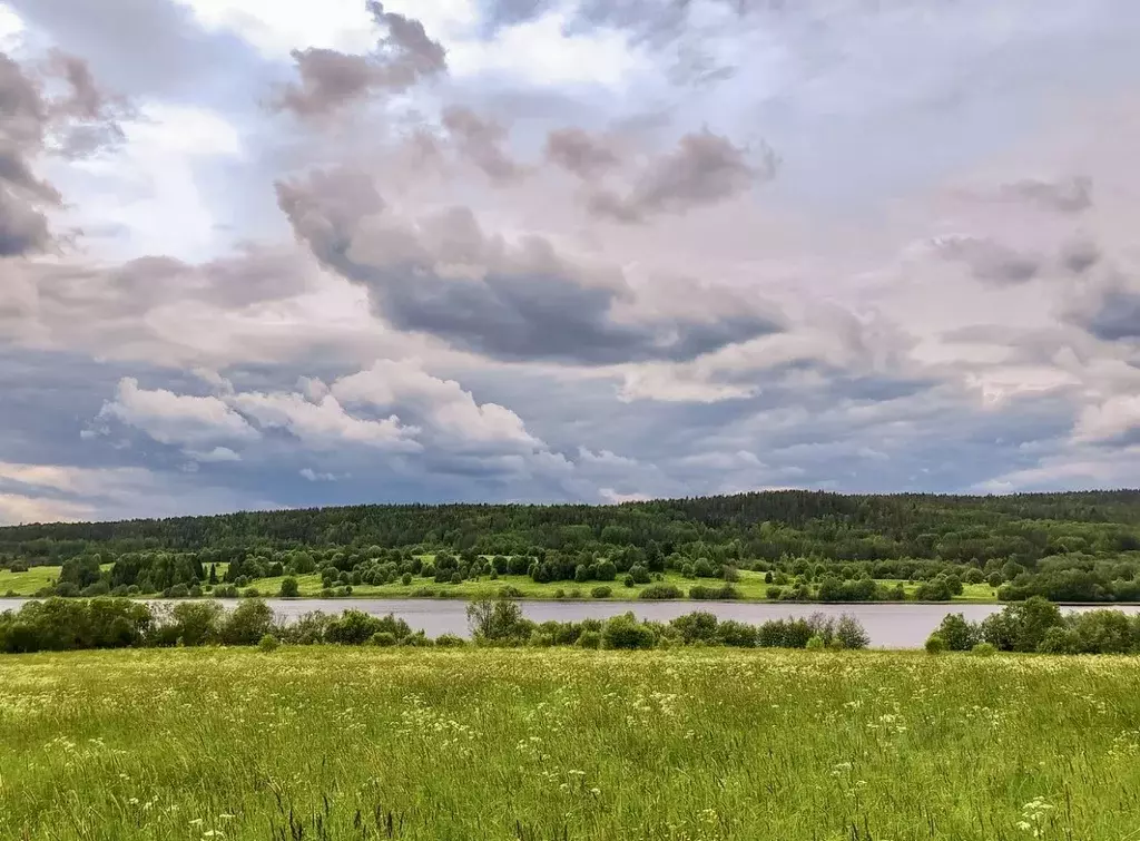 Участок в Карелия, Медвежьегорский муниципальный округ, д. Спировка  ... - Фото 1