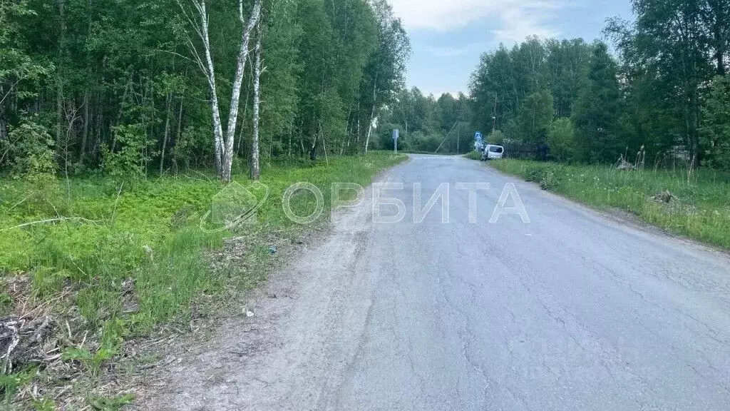 Участок в Тюменская область, Нижнетавдинский район, Ромашка СНТ ул. ... - Фото 1