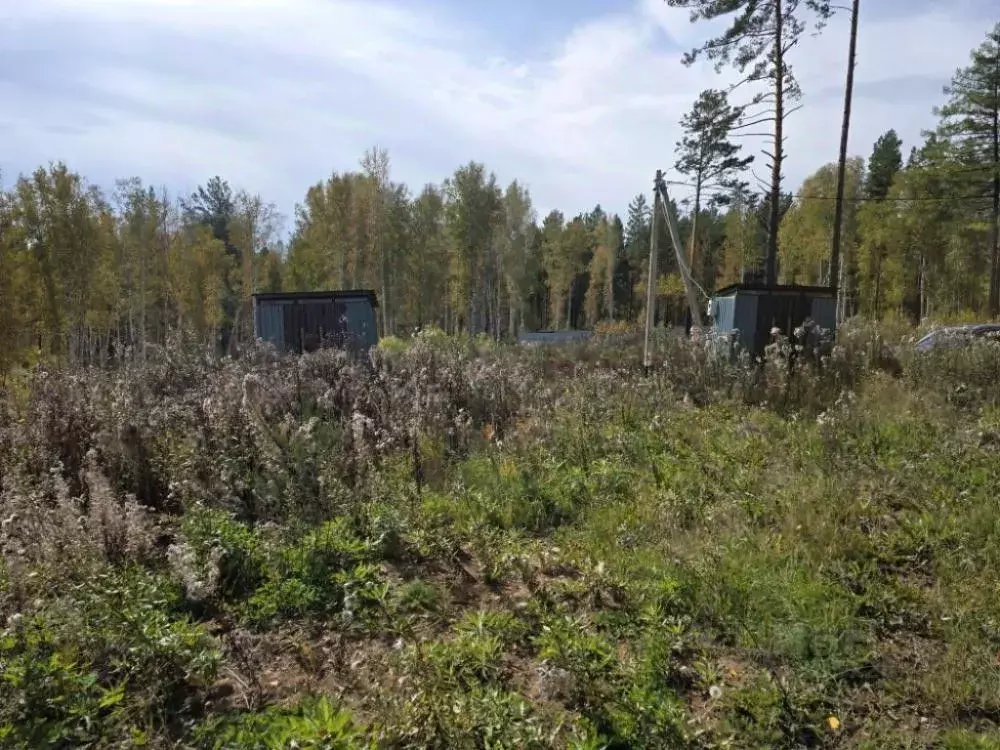 Участок в Иркутская область, Шелеховский район, Большелугское ... - Фото 1