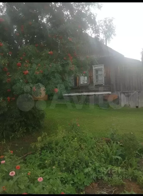 Дом в Нижегородская область, Вадский муниципальный округ, с. Зеленые ... - Фото 0