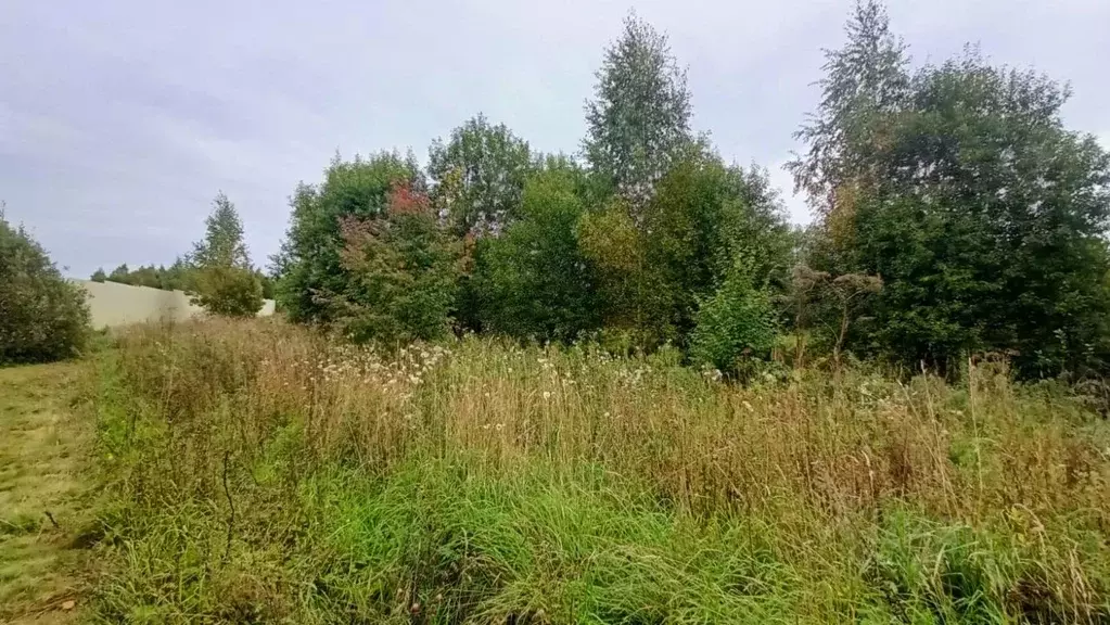 Участок в Московская область, Можайский муниципальный округ, д. ... - Фото 2