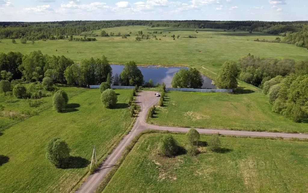 Участок в Московская область, Наро-Фоминский городской округ, д. ... - Фото 1