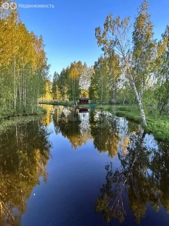 Участок в Ярославская область, Брейтовский муниципальный округ, ... - Фото 1