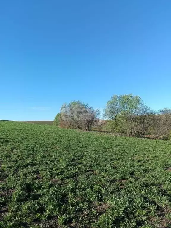 Участок в Удмуртия, Можгинский район, с. Большая Кибья Нагорная ул., ... - Фото 1