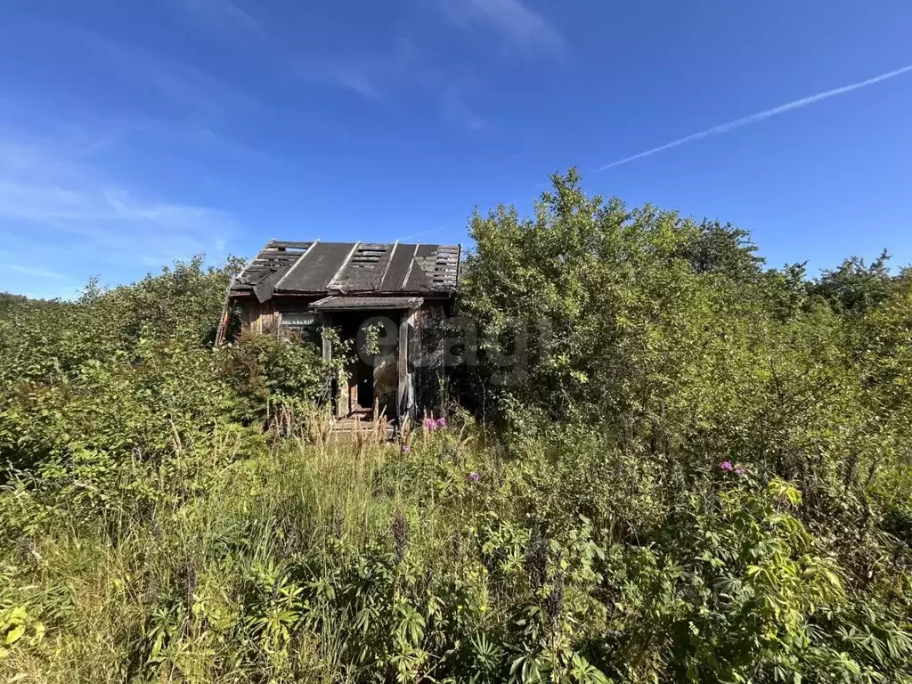 Участок в Башкортостан, Октябрьский Незабудка СТ,  (6.06 сот.) - Фото 1