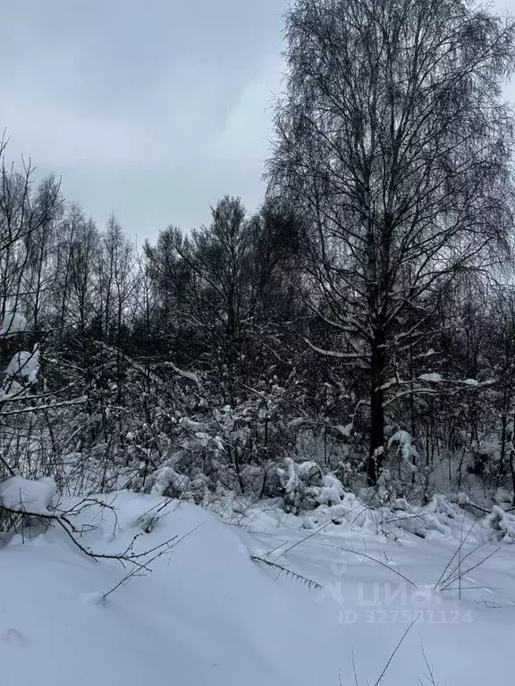 Участок в Московская область, Ступино городской округ, д. Дворяниново ... - Фото 1