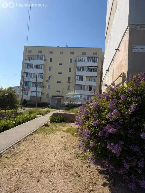 1-комнатная квартира: Керчь, переулок Поветкина, 20 (22.9 м) - Фото 1