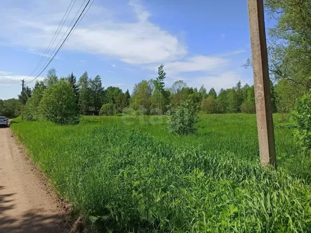 Участок в Ленинградская область, Волховский район, Потанинское с/пос, ... - Фото 1