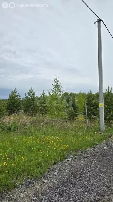 Участок в Тюменский район, село Успенка (18.46 м) - Фото 0