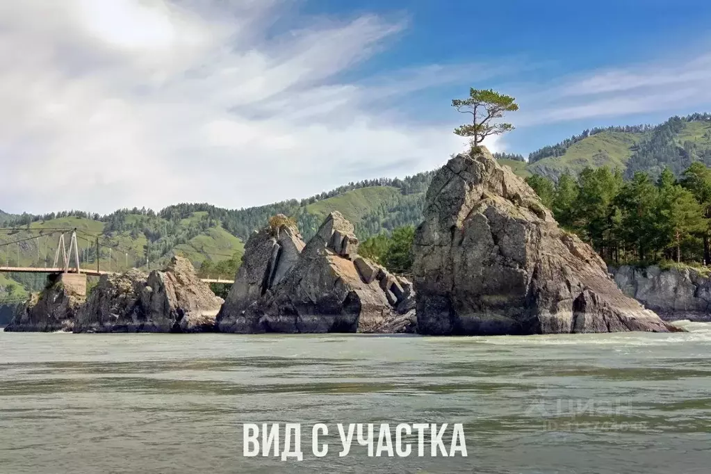 Участок в Алтай, Чемальский район, Рублевка ДПК ул. Заречная, 23 ... - Фото 0