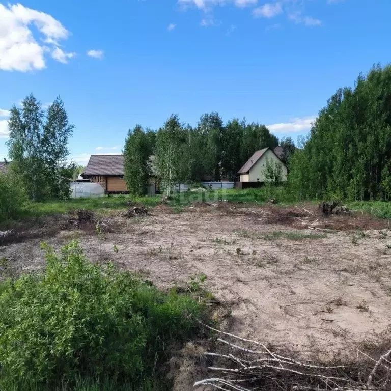 Участок в Тюменская область, Нижнетавдинский район, Березка СНТ  (8.4 ... - Фото 1