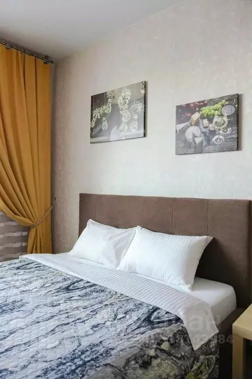 1-к кв. Новосибирская область, Новосибирск ул. Фрунзе, 49 (33.0 м) - Фото 0