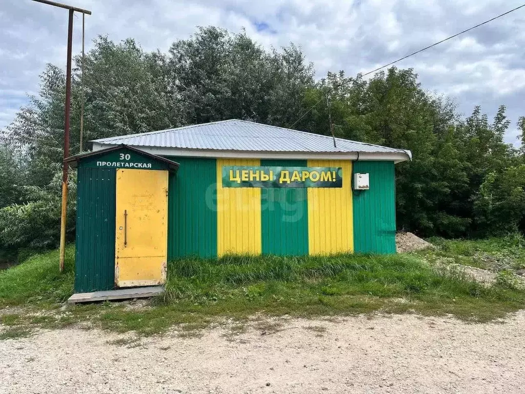 Торговая площадь в Владимирская область, Муром с. Панфилово, ул. ... - Фото 1