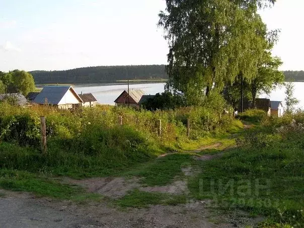 Участок в Новгородская область, Демянский муниципальный округ, д. ... - Фото 1