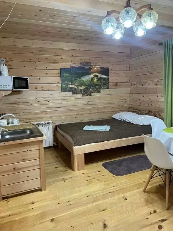 Дом в Алтай, Турочакский район, с. Артыбаш пер. Еловый, 6 (30 м) - Фото 1