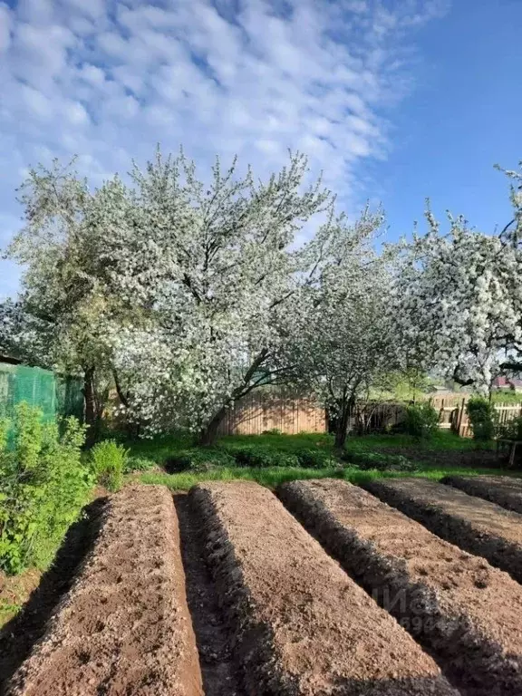 Дом в Новгородская область, Новгородский муниципальный район, ... - Фото 2