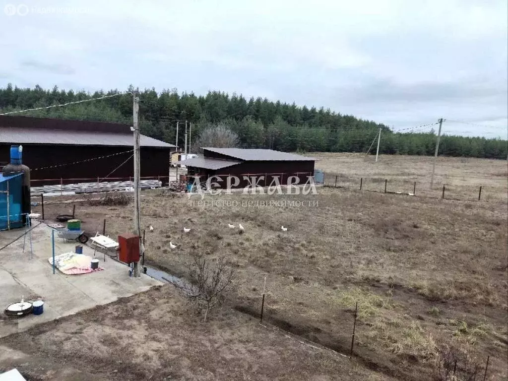 Участок в Старооскольский городской округ, село Анпиловка, ... - Фото 0