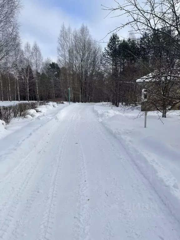 Участок в Тверская область, Старицкий муниципальный округ, д. Молоково ... - Фото 1