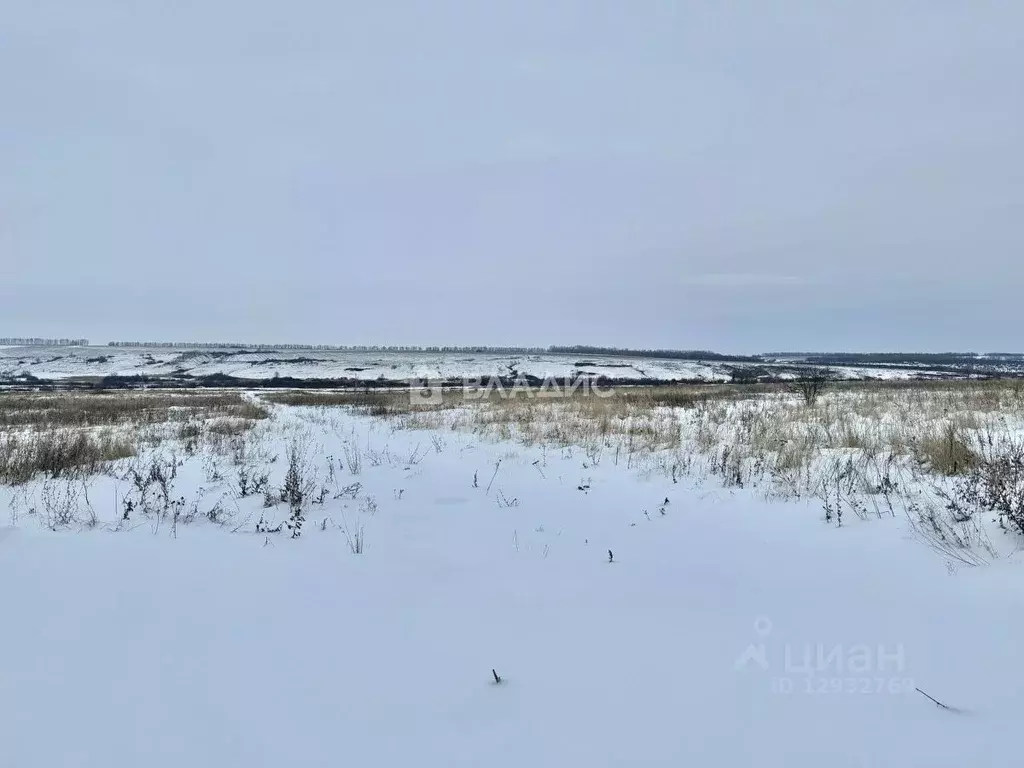 Участок в Пензенская область, Городищенский район, д. Луговые Выселки  ... - Фото 0