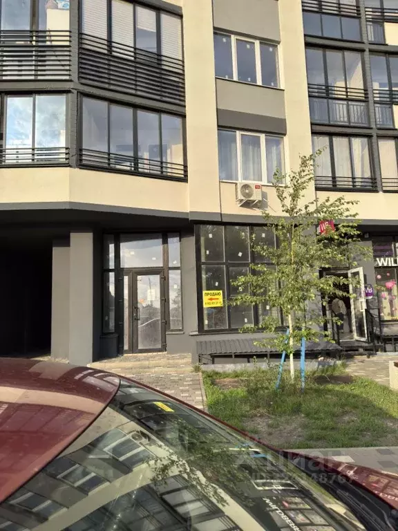 Офис в Воронежская область, Воронеж Херсонская ул., 21А (52 м) - Фото 2