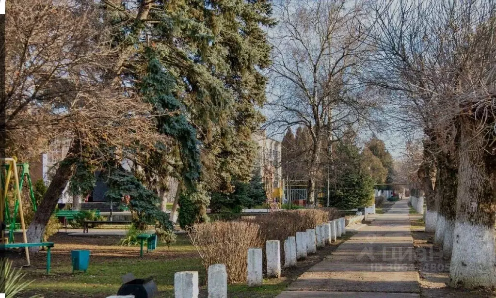 Участок в Краснодарский край, Калининский район, Старовеличковское ... - Фото 0