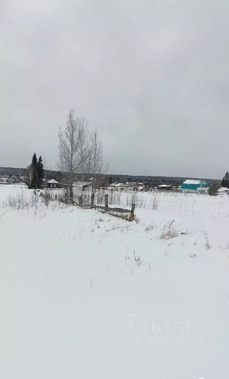 Участок в Новосибирская область, Тогучинский район, Буготак ст. ... - Фото 1