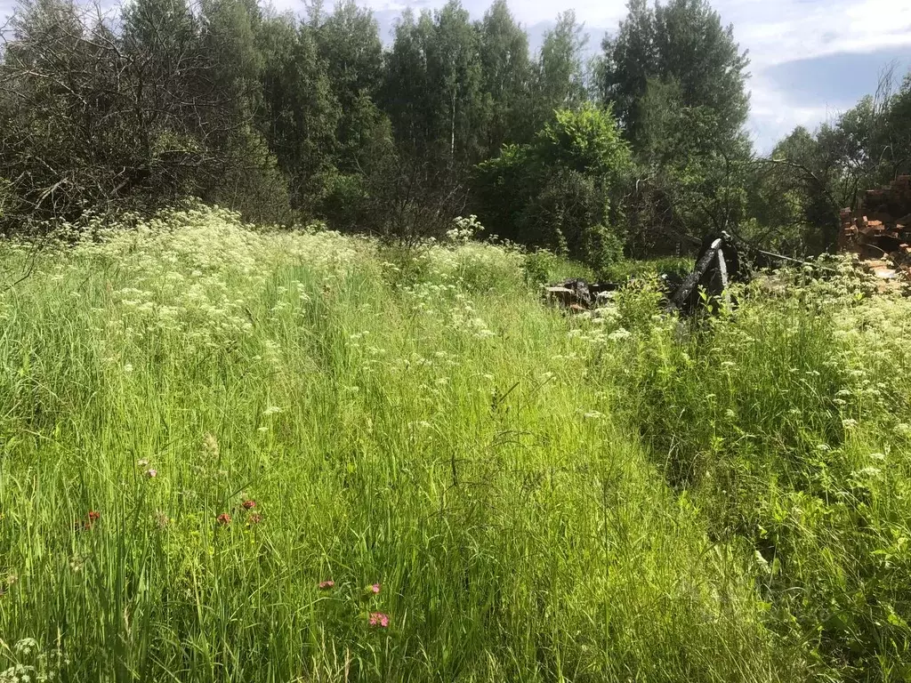 Участок в Московская область, Богородский городской округ, д. Тимково ... - Фото 1