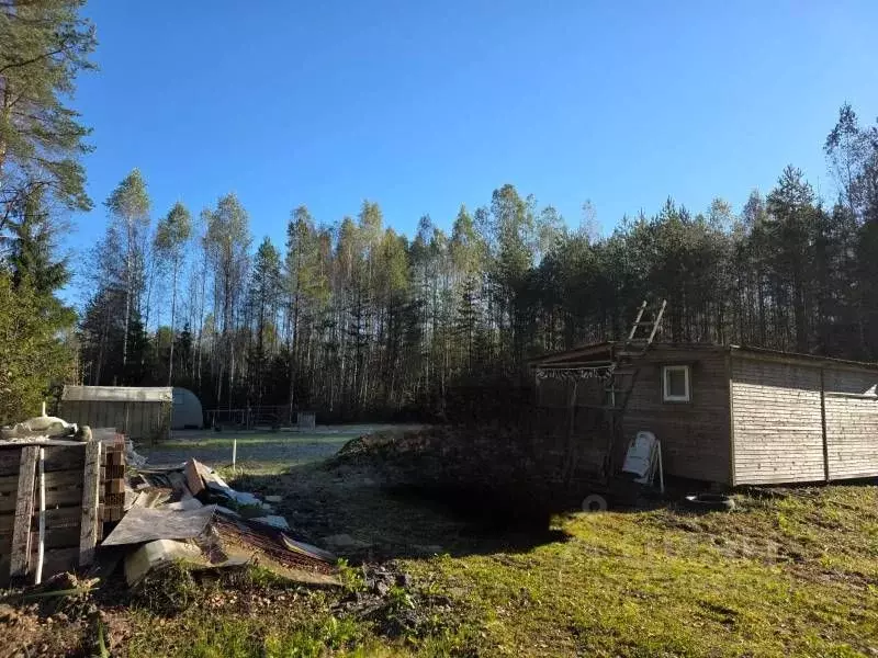 Участок в Ленинградская область, Гатчинский муниципальный округ, ... - Фото 1