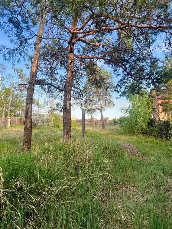 Участок в Саха (Якутия), Якутск Хатын-Юряхское ш. (11.7 сот.) - Фото 1